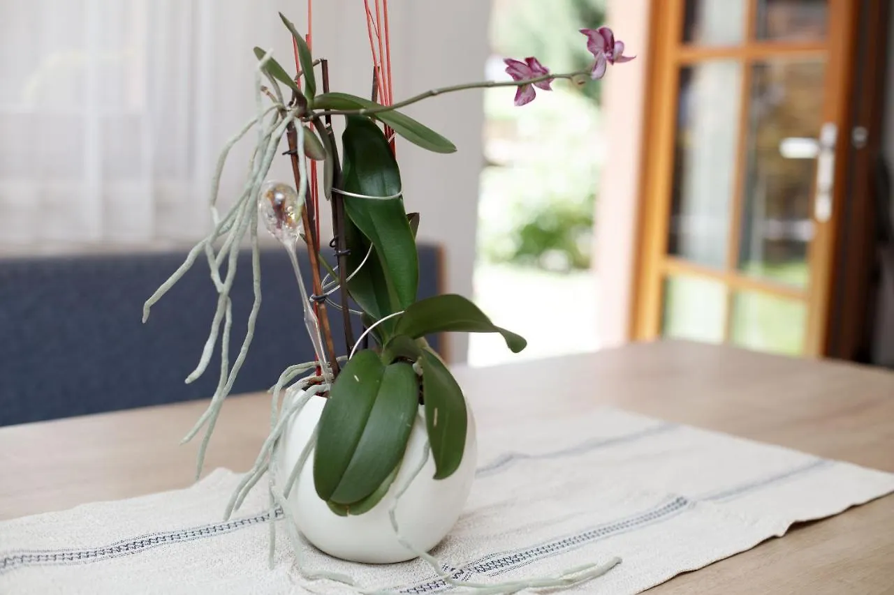 Apartment Apart Manuela Austria